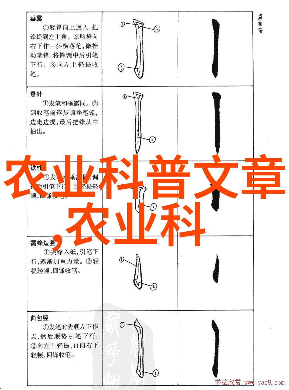 羊来钱去一年养十只赚得翻倍的奇幻之旅