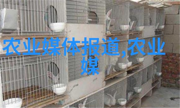 泥鳅养殖技术亩产高效方法高效的泥鳅养殖亩产技术