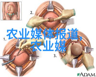 为什么一些国家在蔬菜生产中采用了精准农业技术来提升产量和利润率