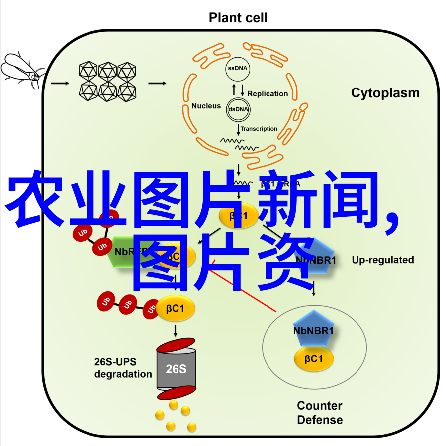 一万元养殖项目选择指南鸡蛋鱼类和蜂蜜的三大赢家