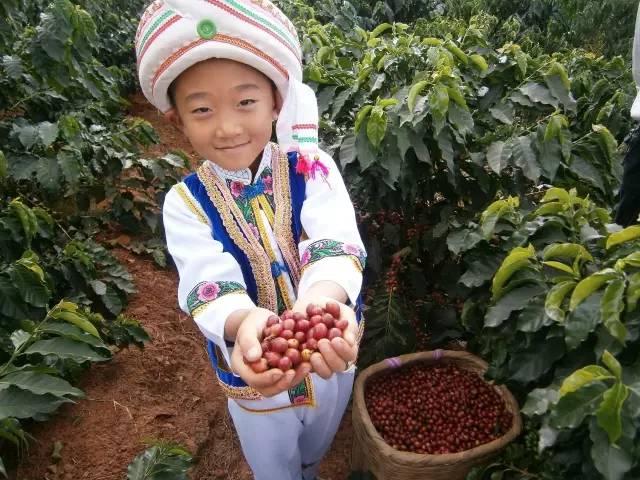 中国茗茶网中玻璃杯冲泡是一种什么样的艺术它既是水的舞蹈又是茶香的升华既是温度的调整又是细节的考究