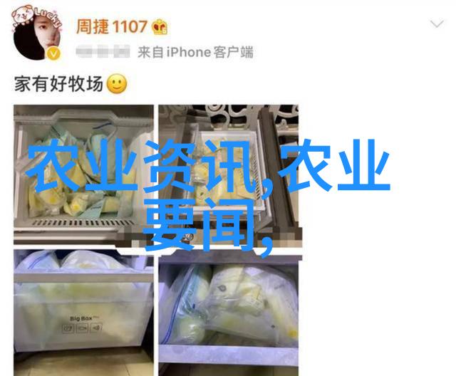 海参营养价值及其在现代饮食中的应用