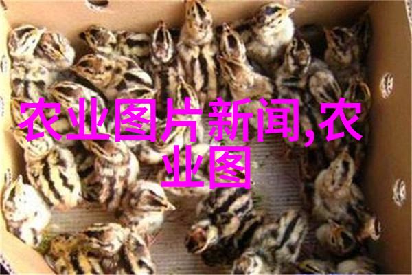 如何让女性感到舒适无比沟通技巧与细节的艺术