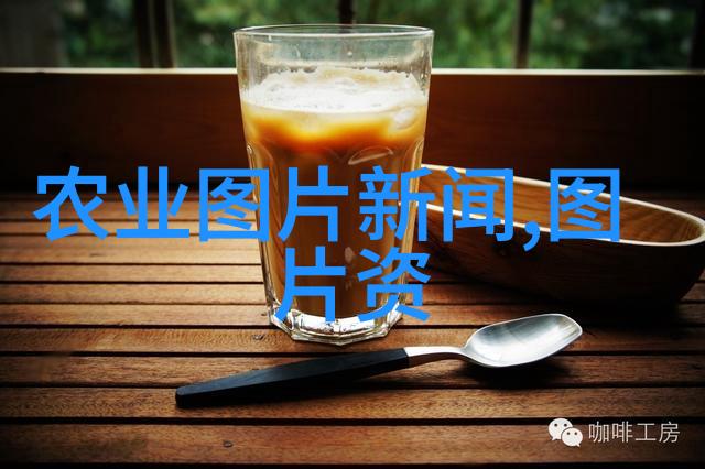 十五公分白蜡的价格是多少