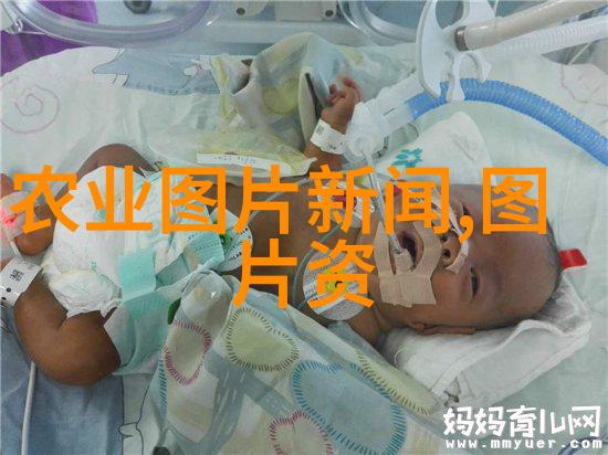 如何巧妙解决小龙虾养殖中的生长瓶颈