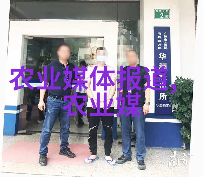 禽类养殖业的经济分析如何提高家禽养殖业的盈利能力