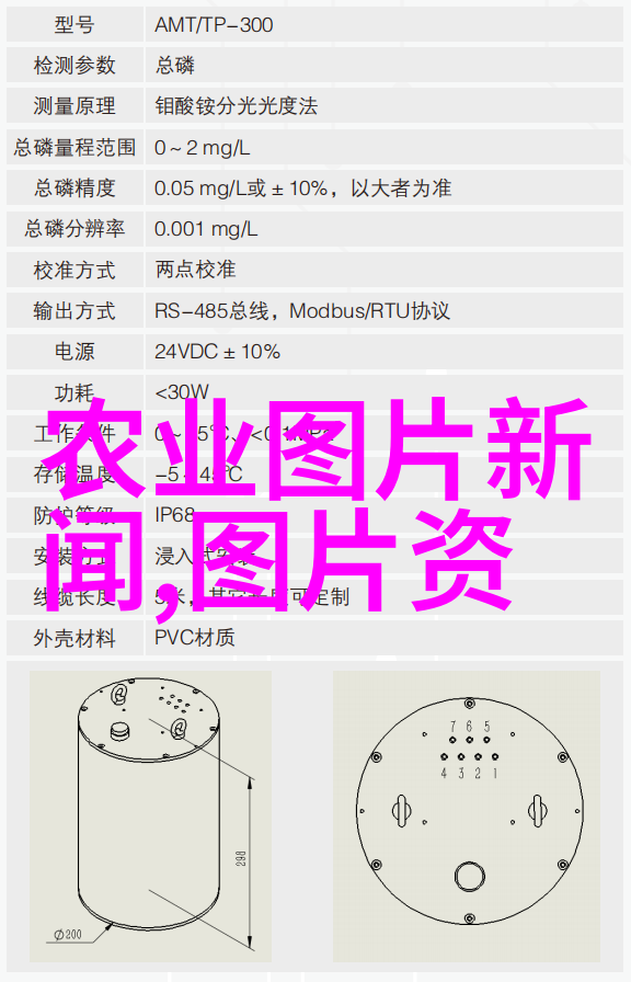 春不老永恒的青春在花间舞动