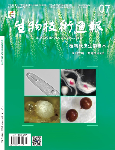 在观看蜜蜂养植技术视频时应注意那些关键步骤以确保成功