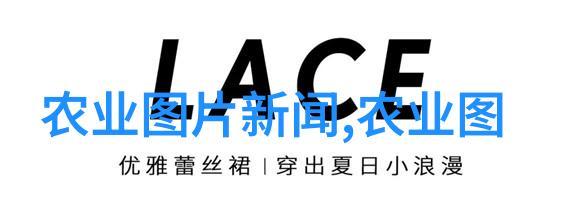 四川黄鳝养殖技术-川渝黄鳝之恋探索高效的养殖秘诀