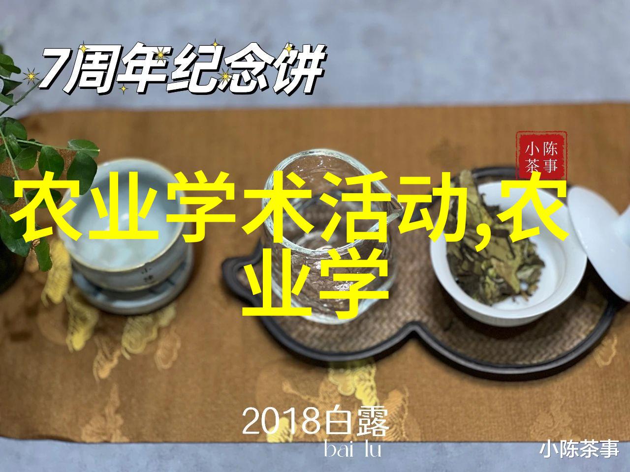 小狗是否能够成为视觉或听觉上的辅助犬类动物呢