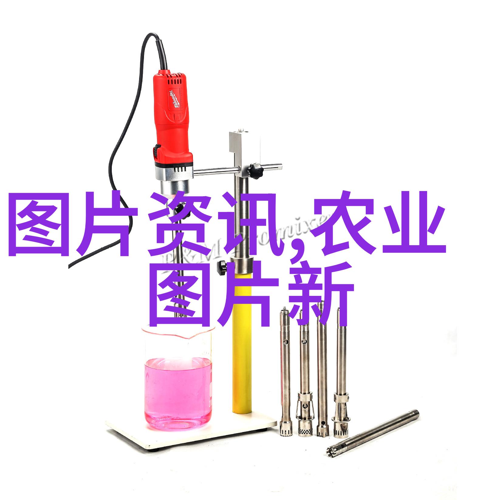 板蓝根种植指南了解其生长需求与栽培技巧