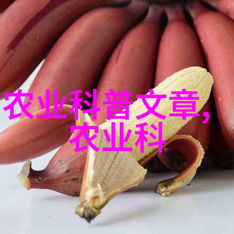 教师道德与风范构建和谐教育环境的十项准则