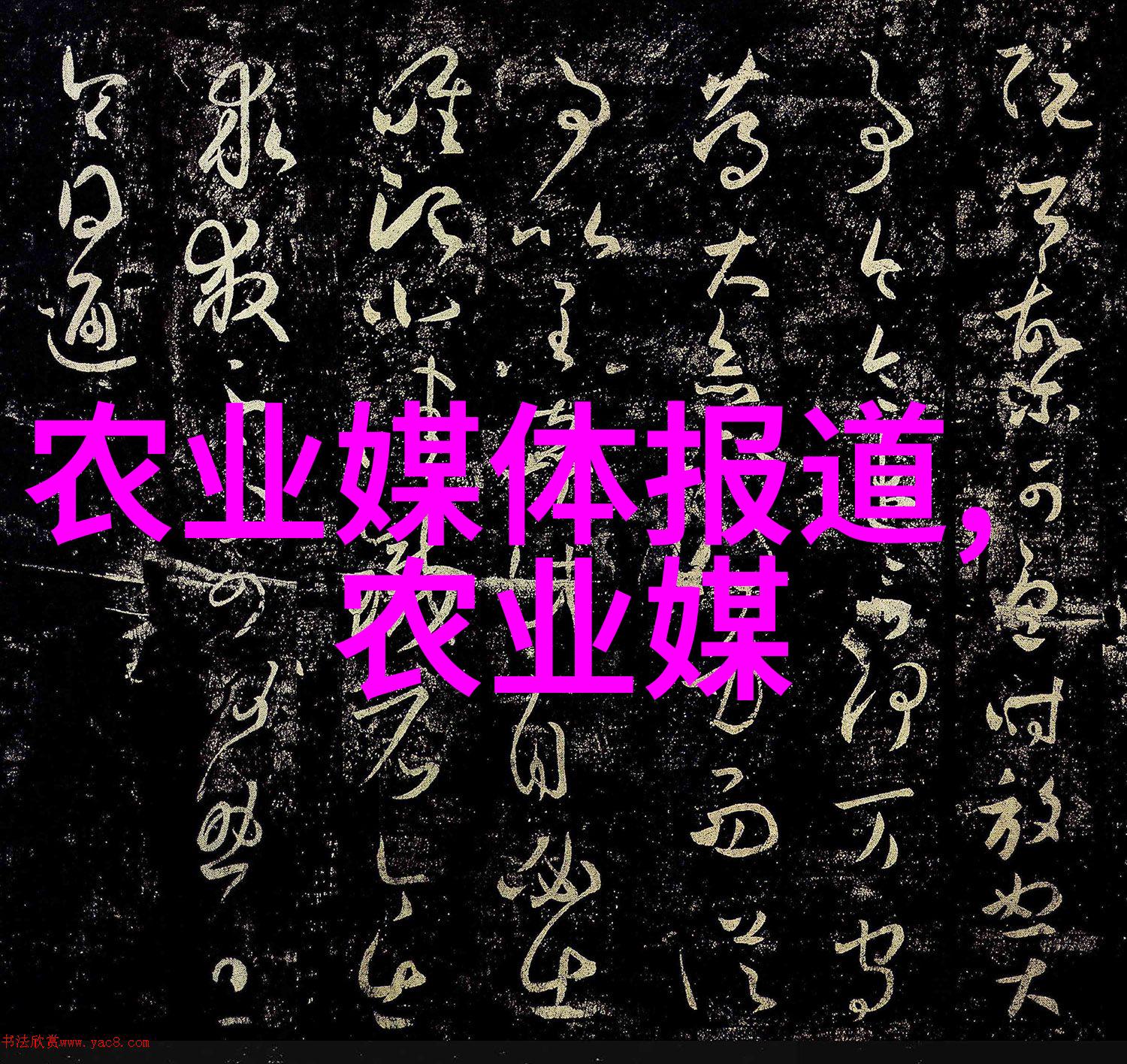 英语今天晚上让你桶个够的软件我的英语学习宝典夜晚的知识加分器