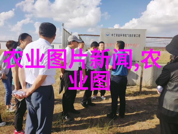 防止病虫害如何实施预防性措施