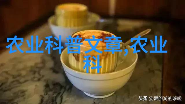 探索茶文化的奥秘品味中土风情的艺术之旅