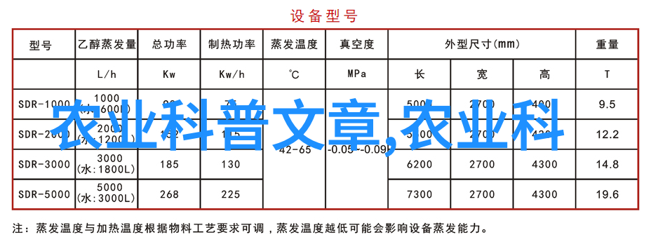 错点鸳鸯爱情的误判与重逢