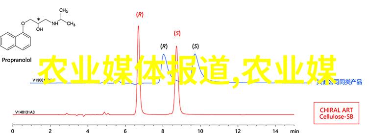 车厘子的魅力甜蜜与多汁的夏日佳酿