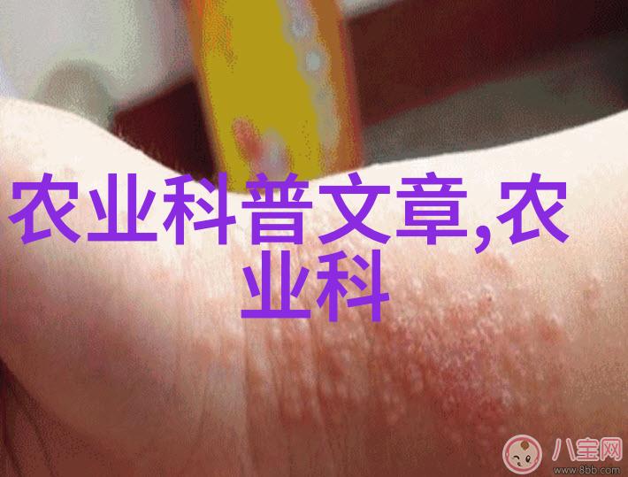 茶香如诗滋补如画元气茶品味生活的艺术