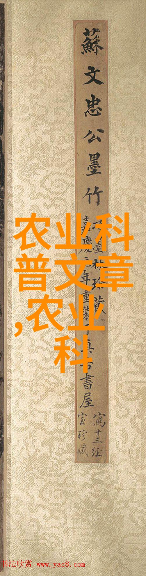 冬闲蛋鸡低成本养殖关键措施