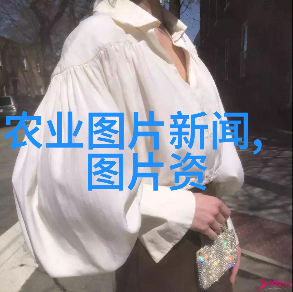 甜蜜工作者养殖蜜蜂的艺术与智慧