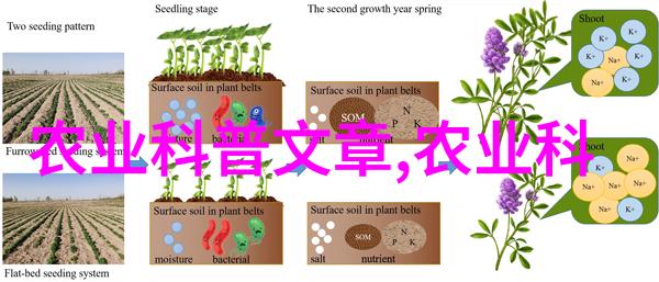 探索茶文化深度内涵与精神的传承与实践