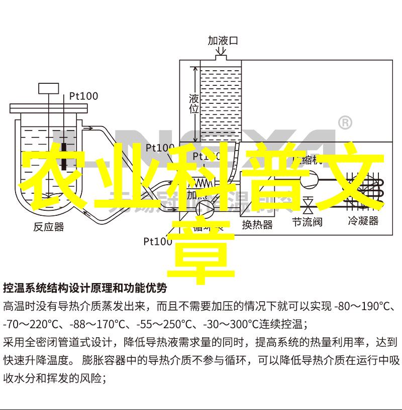 广西上林火龙果产业促农增收