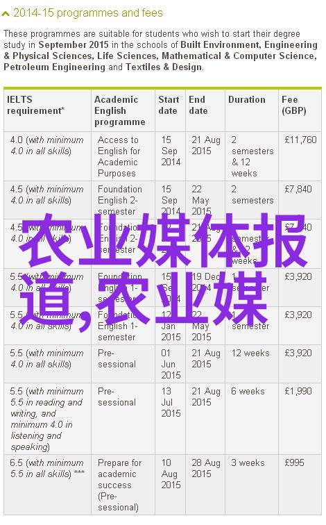 新时代创业风口如何在2021年投资小资金大回报的理想项目