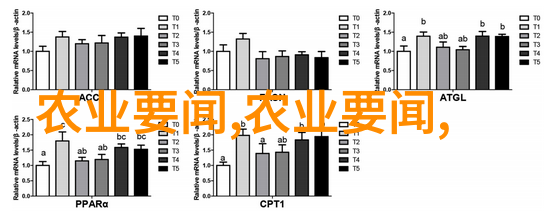 红麻产业的丰收秘密一亩之利润如何计算