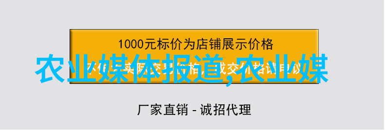 街头巷尾的味道揭秘小吃配方的魅力