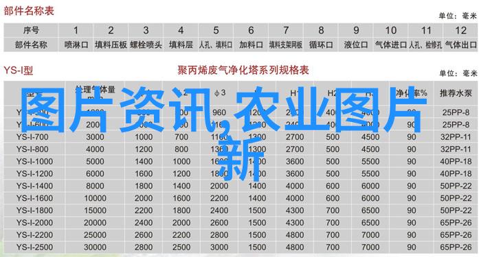 儿子比老公大晚探索家庭关系中的逆袭故事