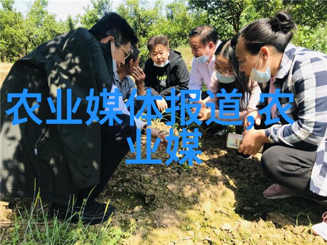 茶叶功效-揭秘茶香正确理解茶叶功效的指南