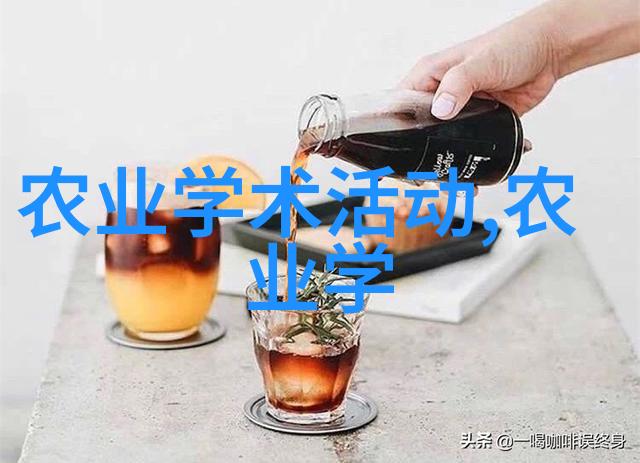 茶艺探秘深入了解中国传统茶文化的艺术与智慧