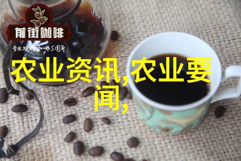 仙剑三问情篇-情牵千里剑光破梦探索仙剑三中的爱恨纠葛