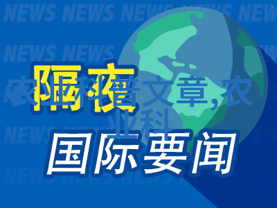 高效益农业盈利丰厚的现代种植模式