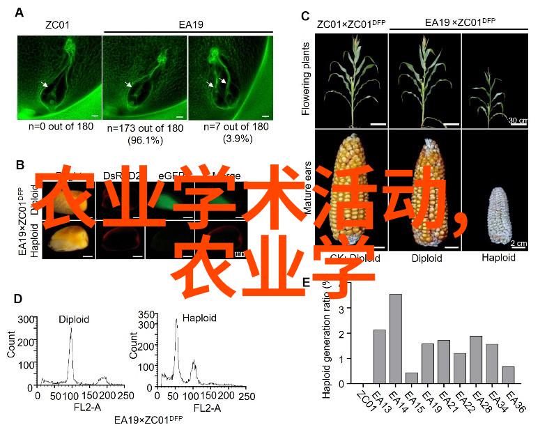 校园里的花海如何通过校本教材培养学生的绿手艺精神