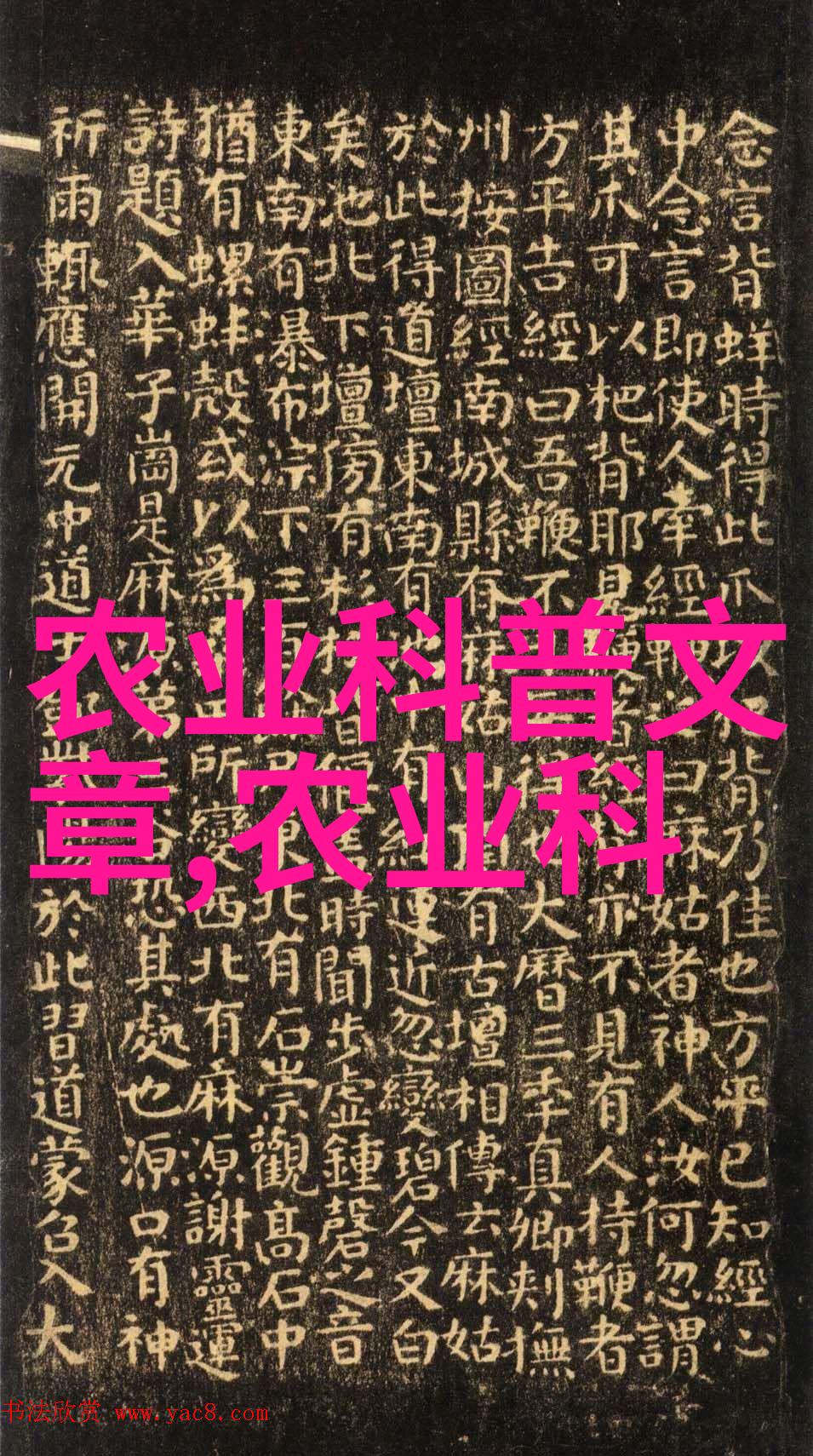 2022年养蜂人惨淡的冬眠蜜蜂疾病与气候变化共同摧毁了甜蜜梦想