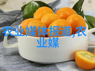 农业节目播种希望收获未来