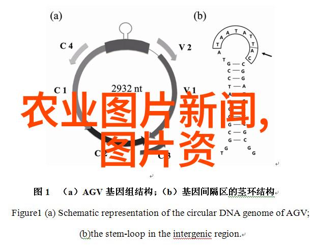 简单招工快速建队