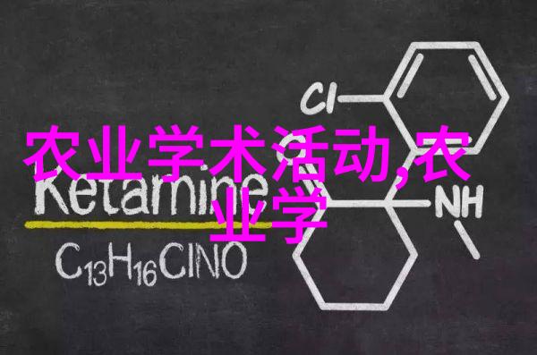 青年梦想如何激励和支持年轻人留在或回归到南方农村工作生活呢