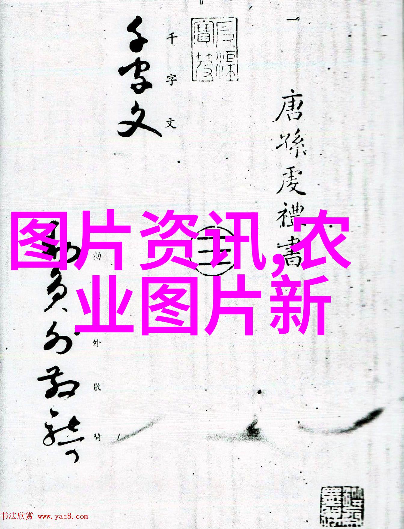 稻田黄鳝养殖技术高效水产养殖方法与环境适应性研究