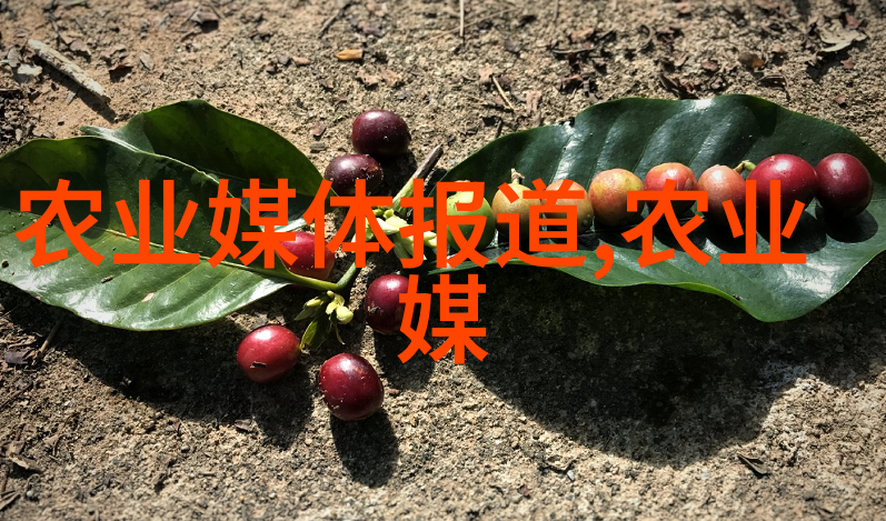 技术进步如何改变了我们传统观念中的一斤等于多少只小生物