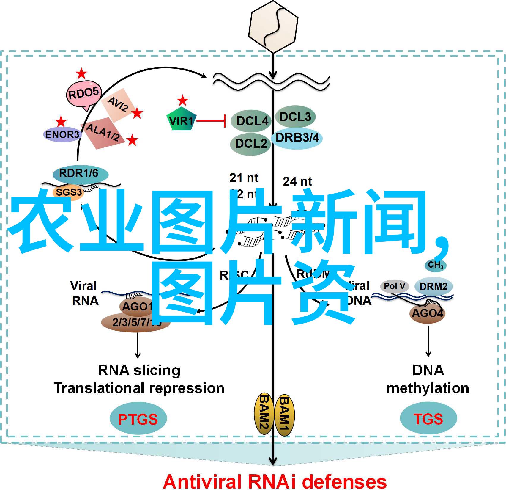 传统与现代混合动力混凝土搅拌运输车的区别与优势