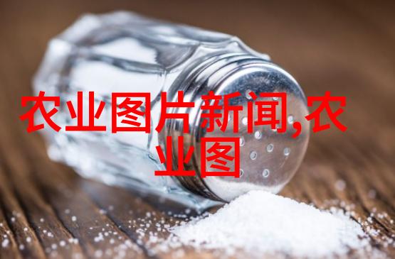 黄粉虫养殖技术视频-精准引导提升黄粉虫养殖效率的10大技巧