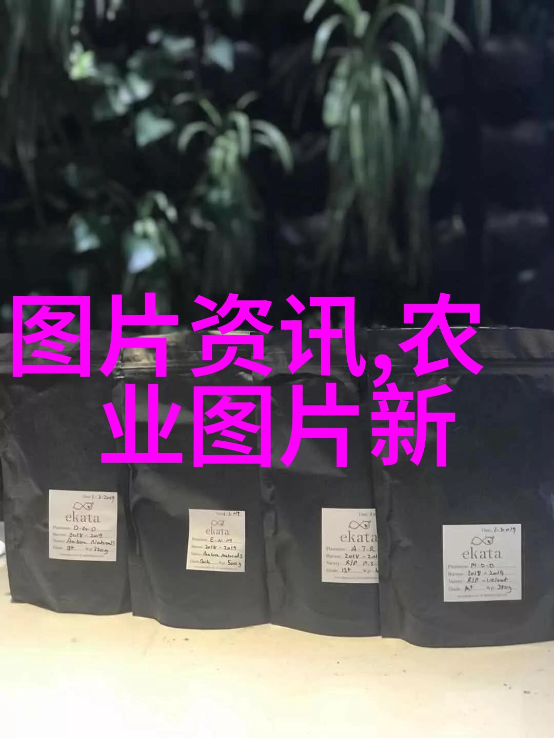 常用法律1000条我这边帮你整理了个大概的目录你看怎么样