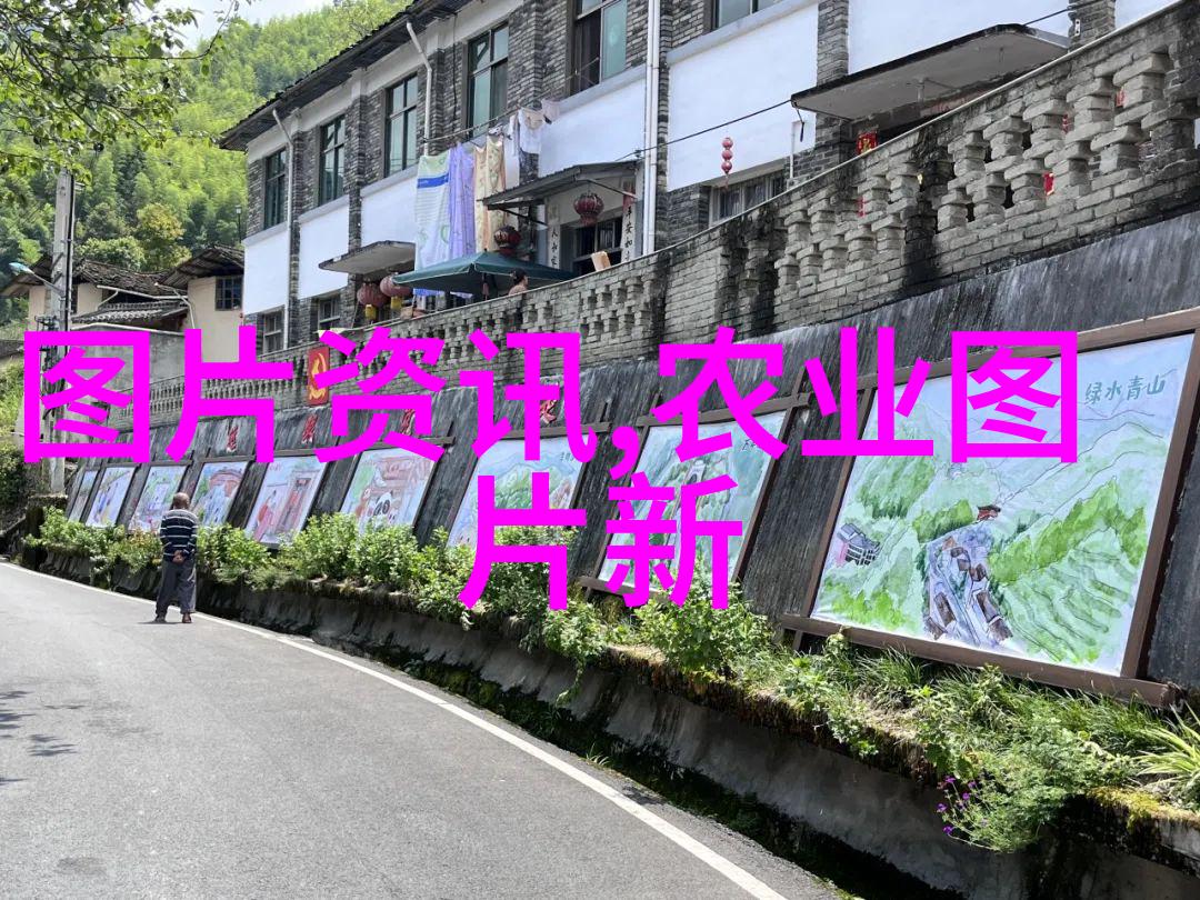 羊毛市场走向分析2023年羊行情的关键因素