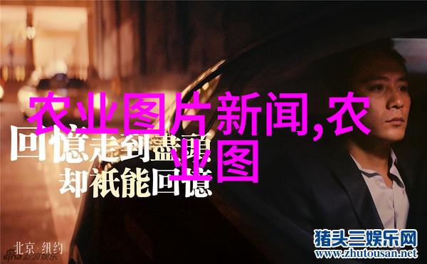 安全第一原则防止入侵者影响您的农场保护您的人力物力和财力的措施方案介绍