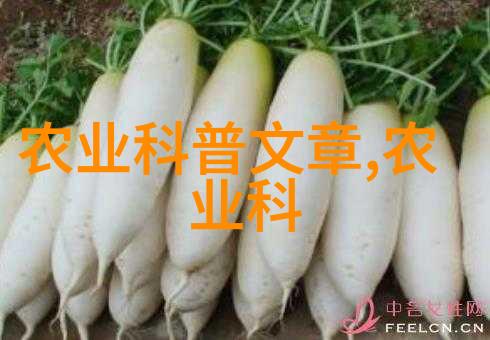 种植药材从土豆到金子花钱不怕浪费