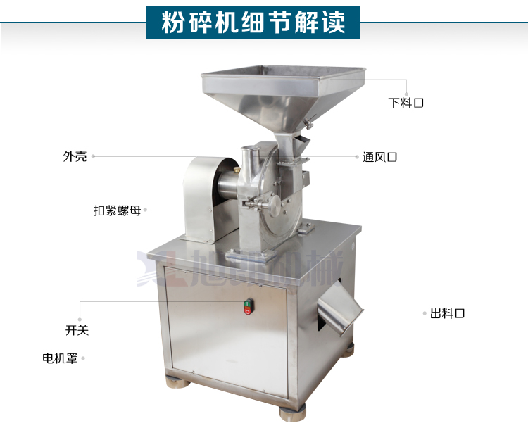 选择合适的龙虾品种关键在于生长速度与产量