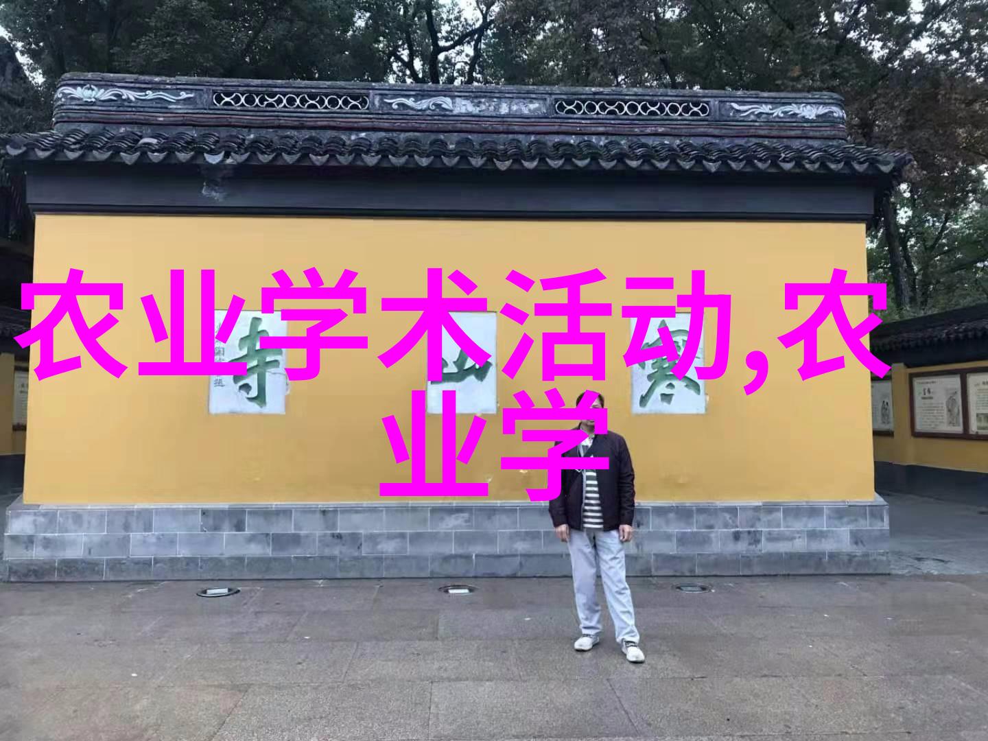 新手养蜂技术我的蜂箱小秘密书