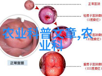 茶文化包括种茶吗品一壶悟千年探索我国古老的种茶之美